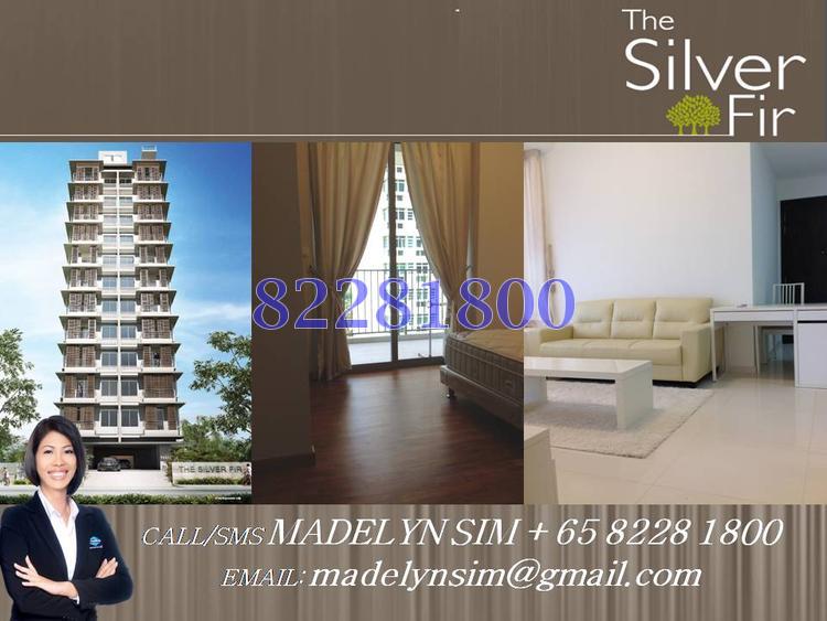 The Silver Fir thumbnail photo